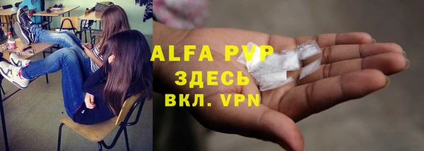 PSILOCYBIN Богородск