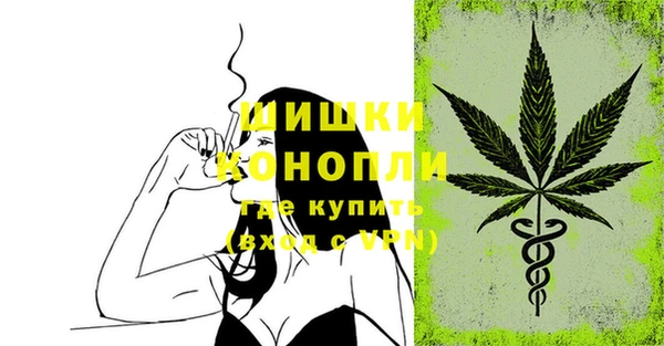 PSILOCYBIN Богородск