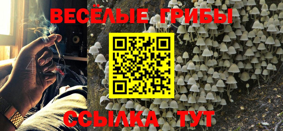 Галлюциногенные грибы ЛСД Саяногорск