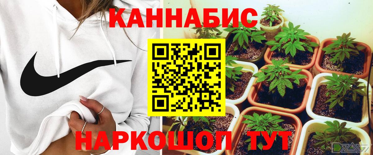 Бошки Шишки индика  Каннабис MAZAR  Вход с VPN  Саяногорск 